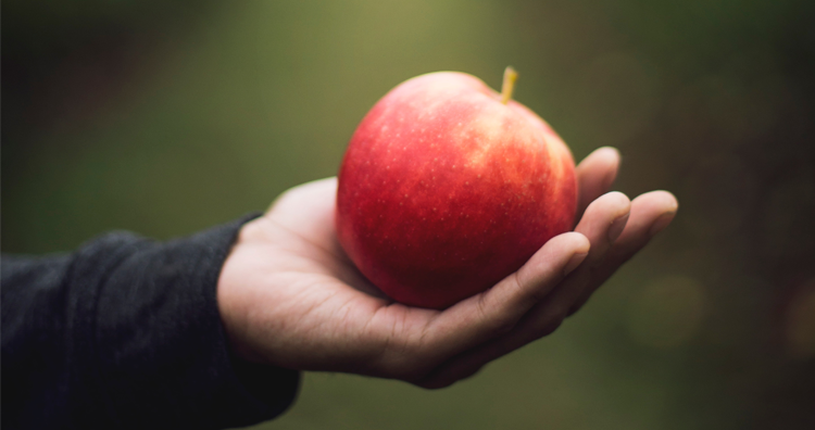 15 Pumpkin Patches, Apple Orchards and Cider Mills You Can Visit Near Ann Arbor